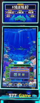 Programa VIP 577 Game